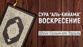 Красивое чтение Корана  Шейх Салим атТауиль [upl. by Beasley170]