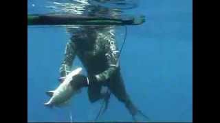 quotPESCASUBquot SPEARFISHING DVD quotFISIOLOGIA E TECNICA NELLA PESCA IN APNEAquot ROBERTO TIVERON [upl. by Ahilam]