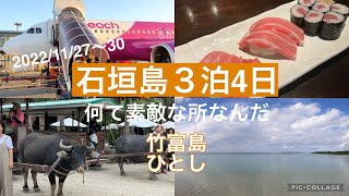 【冬の石垣島①】今回は2人旅、日帰り竹富島観光とひとし予約とれました [upl. by Gladys]