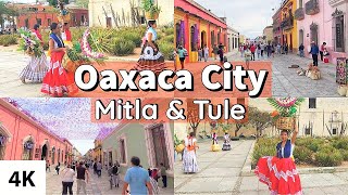 A Tour of OAXACA City  Mitla amp Tule  Mexico Travel 2023 [upl. by Harper33]