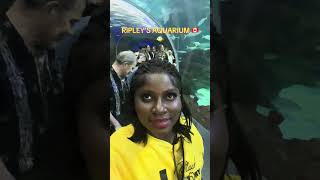 Ripley’s Aquarium 🇨🇦 [upl. by Maro428]