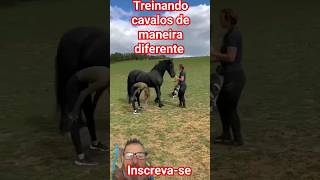 treinadora de cavalos Árabes de maneira diferente shorts shorts [upl. by Bruno510]