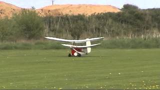 12 scale Pou du ciel first flight [upl. by Ahsilet]