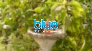 EDF Energy Blue Price Promise TV Advert [upl. by Deming]