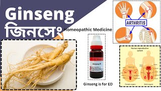 Ginseng  জিনসেং  Materia Medica  Learn Ginseng easily [upl. by Marucci]