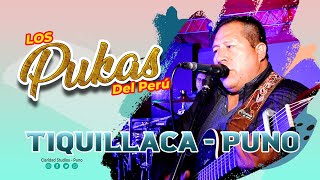 LOS PUKAS DEL PERU TIQUILLACA 2021 [upl. by Llehsar]