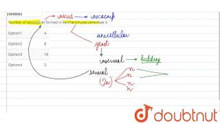 Number of ascospores formed in Sacchromyces cerevisiae is [upl. by Lund]