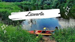 Spływ kajakowy Liswarta Danków  Wąsosz  śląskie kajaki [upl. by Gill812]