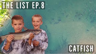 The List S1EP8  Catfish  NPLife [upl. by Luce]