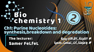 Biochemistry 1 Ch1 part 2  Purine Nucleotides synthesis breakdown and salvage [upl. by Esmond]