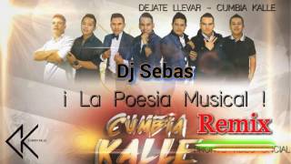 Dejate Llevar Remix  Cumbia Kalle  Dj Sebas Desde El Municipio De Inzá  Cauca [upl. by Ryle614]