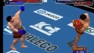 K1 Grand Prix PS1 Peter Aerts vs Branko Cikatić [upl. by Derick]