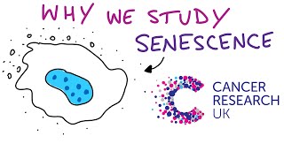 Why We Study Senescence [upl. by Christie]