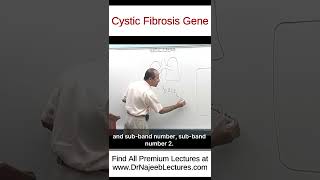 Cystic Fibrosis Gene drnajeeb drnajeeb drnajeeblectures shorts [upl. by Marquez]