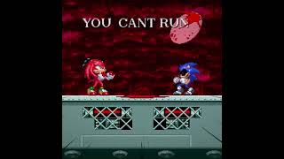 Survival of The Fittest Knuckles Solo Escape SonicEXE The Disaster  LOS SERIES [upl. by Adama]