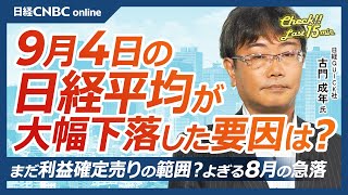 【9月4日水東京株式市場】日経平均株価は大幅下落、エヌビディアなど米ハイテク株安で／日本株も半導体株軒並み⇩／今晩JOLTS、今後の米経済指標に注目／原油先物も⇩／円高メリットや生活防衛関連に物色 [upl. by Nnaer53]