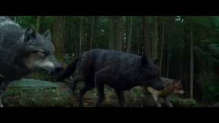 Die Twilight Saga Eclipse  Biss zum Abendrot  Offizieller Trailer Deutsch [upl. by Bathilda]