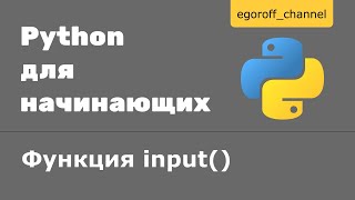 5 Ввод и вывод данных python Команда input [upl. by Leddy]