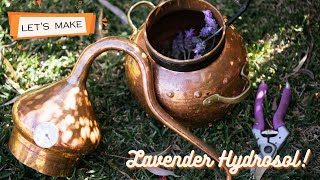 Making lavender Hydrosol using an Alembic column Still and steam distillation [upl. by Anile]