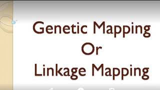 Linkage Mapping part 1 [upl. by Ahsyad]