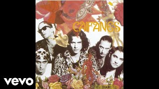 Caifanes  El Elefante Cover Audio [upl. by Trilley]