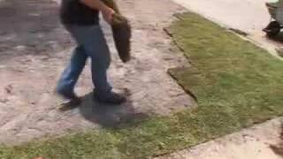 Landscaping Tip  Sod Installation [upl. by Josepha]