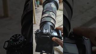 Nikon D7500 Continuous Low Shutter nikon camera ytshort ytshortsindia [upl. by Ogaitnas]