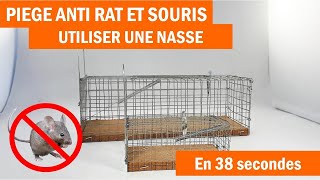 Piège à rat piège à souris nasse comment les utiliser [upl. by Attenauqa]