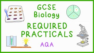 All BIOLOGY Required Practicals  GCSE Science AQA [upl. by Noxid]