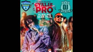 Alkaline ft Sean Paul  Gyalis Pro Official Song Clean 2017 [upl. by Asyar54]