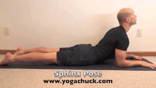 Sphinx Pose Salamba Bhujangasana [upl. by Marlena710]