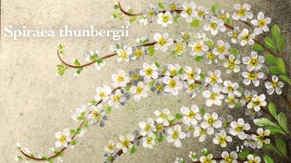 Spiraea thunbergii painting in acrylic and oil pastel  white [upl. by Utas]