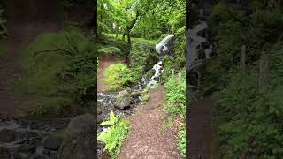 Dartmoor Waterfall Camera Effects [upl. by Keily]