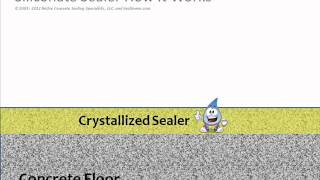 How Does a Siliconate Concrete Sealer Work Video SealGreencom  8009973873 [upl. by Rumilly]