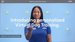 PetSmart  Personalized Virtual Dog Training 15 [upl. by Ranee]