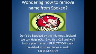 How To Remove Your Name From Spokeo [upl. by Reisinger676]