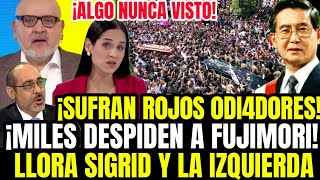 BRAVO BETO Y FERNAN ALTUVE MANDAN AL DI4BLO A SIGRID Y ROJOS Q ARDEN X MILES Q DESPIDEN A FUJIMORI [upl. by Bilski77]