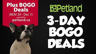 Petland Black Friday Sale  Door Crashers 2024 [upl. by Nov784]