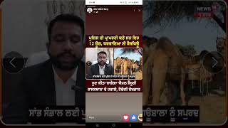 Camel taskari case up to rajsthan capture by punjab policecow cameltaskarihindu [upl. by Nitnert]