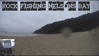 Rock Fishing in Nelsons Bay with Son  Fishing trip to Ingenia Holidays One Mile Beach  Day 1 [upl. by Arihaz]