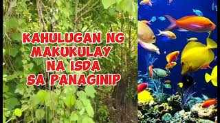 KAHULUGAN NG MAKUKULAY NA ISDA SA PANAGINIP [upl. by Yellas956]