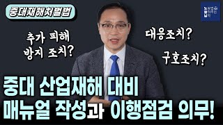 중대재해처벌법상 비상상황 대응 매뉴얼 작성과 이행점검 대응조치 구호조치 추가피해 방지조치 [upl. by Barth]