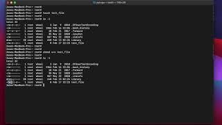 Mac OS Terminal  chmod [upl. by Clyde]