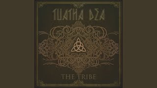 The Landing  Tuatha De Danaan [upl. by Anair]