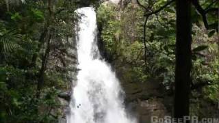 La Mina Waterfall in El Yunque National Forest Puerto Rico Rain Forest [upl. by Anaihr]