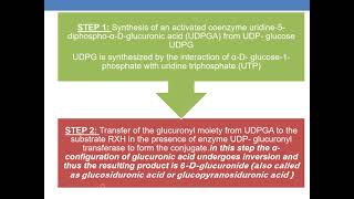 GLUCURONIDATION [upl. by Prochora]