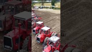 12001250 working day at Farmer Phils Full video tomorrow masseyferguson farming [upl. by Eirena]