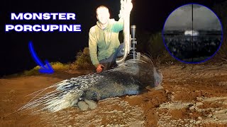 I Hunted a Monster Porcupine Night Hunting Porcupines with THERMALS  PART 2 [upl. by Aserahs]