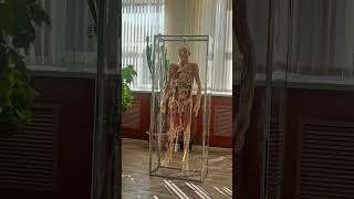 quotReal Cadaver Practice at Yaroslav the Wise Novgorod State University  MBBS Abroadquot [upl. by Joao]