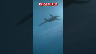 Pliosaurus [upl. by Toombs]